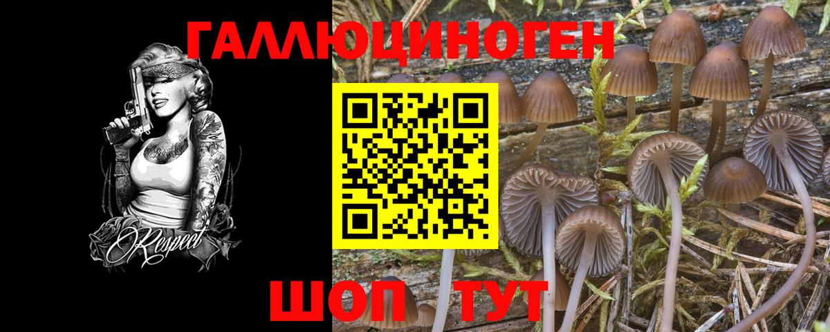 Галлюциногенные грибы ЛСД Новосибирск