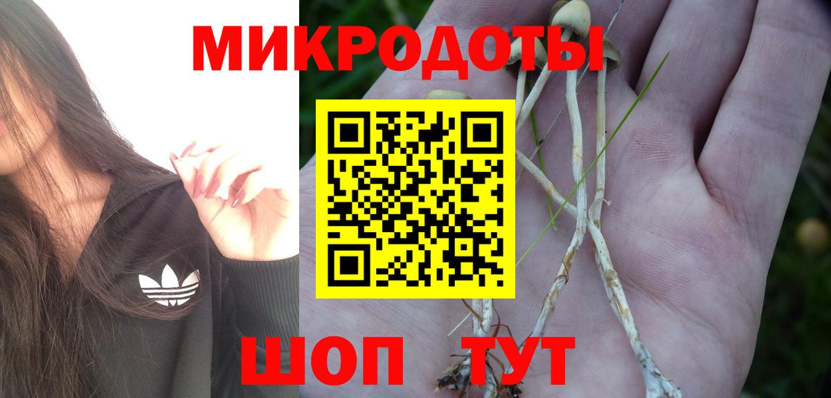 Галлюциногенные грибы Psilocybine cubensis  Вход с VPN  закладки  Новосибирск 